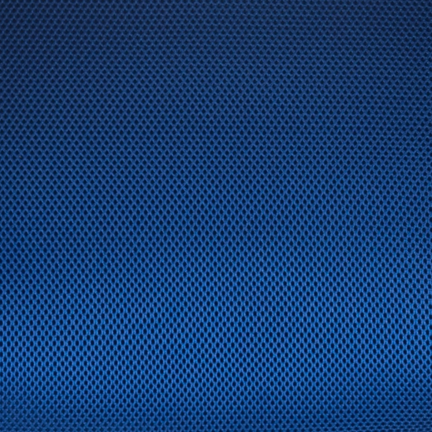 Mesh Ergonomic Blue Chair