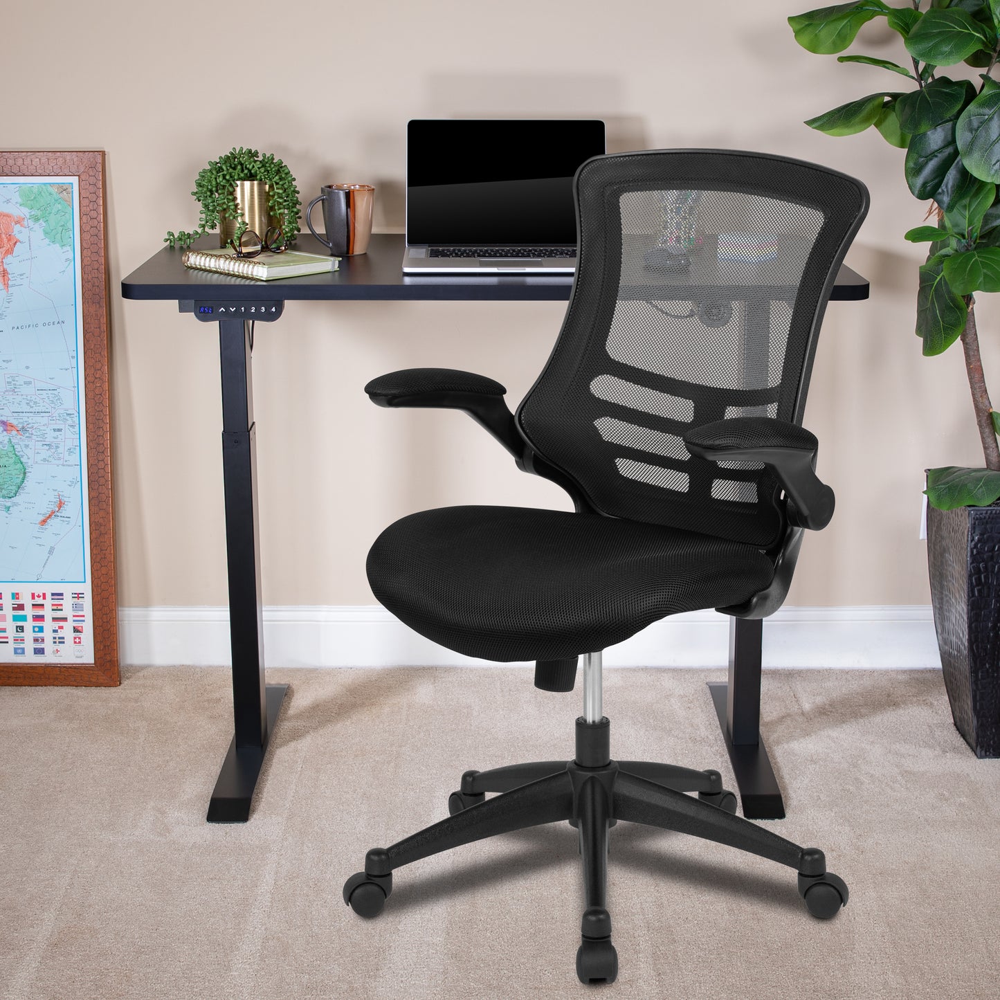 Electric Desk with Office Chair